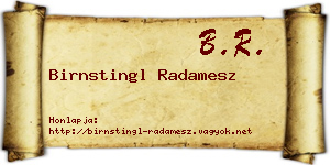 Birnstingl Radamesz névjegykártya
